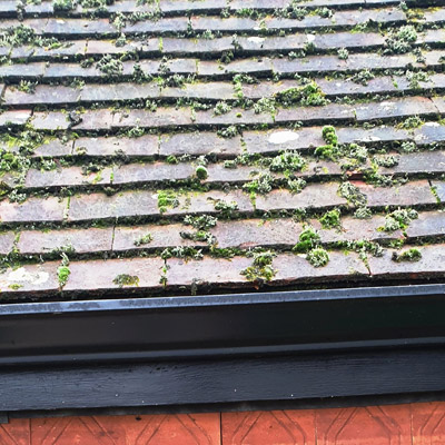 Roof moss cleaning in hampshire